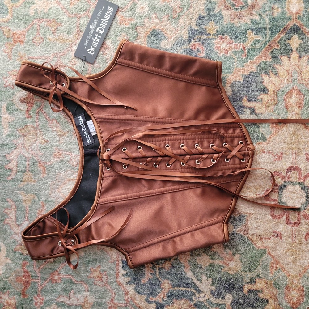 Scarlet Darkness Brown Satin Corset